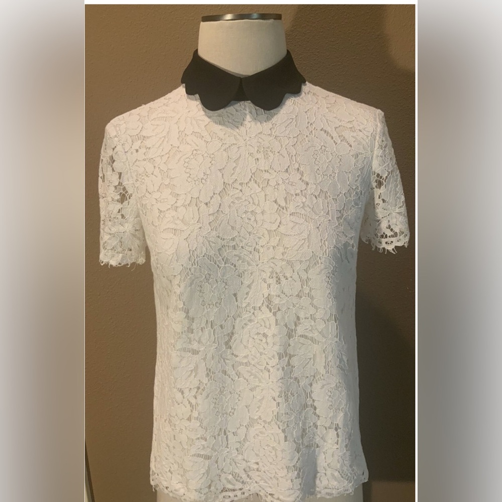 CeCe Black and Soft white  Lace Top with Scalloped Collar